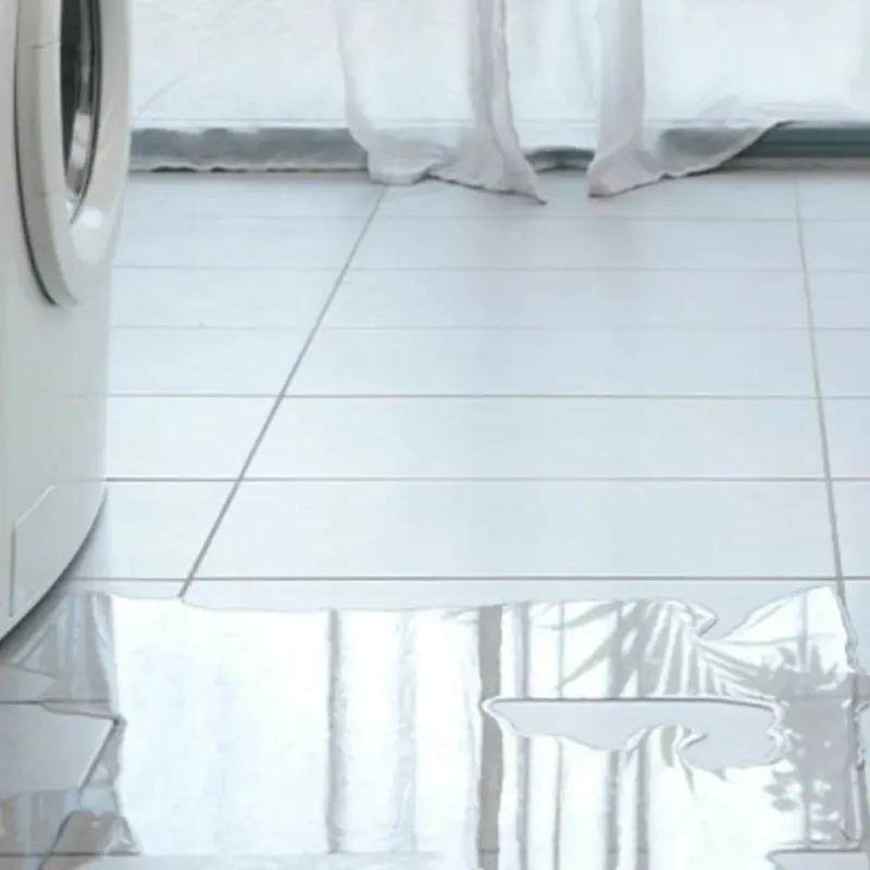Appliance Leak Cleanup in Bowling Green, MO