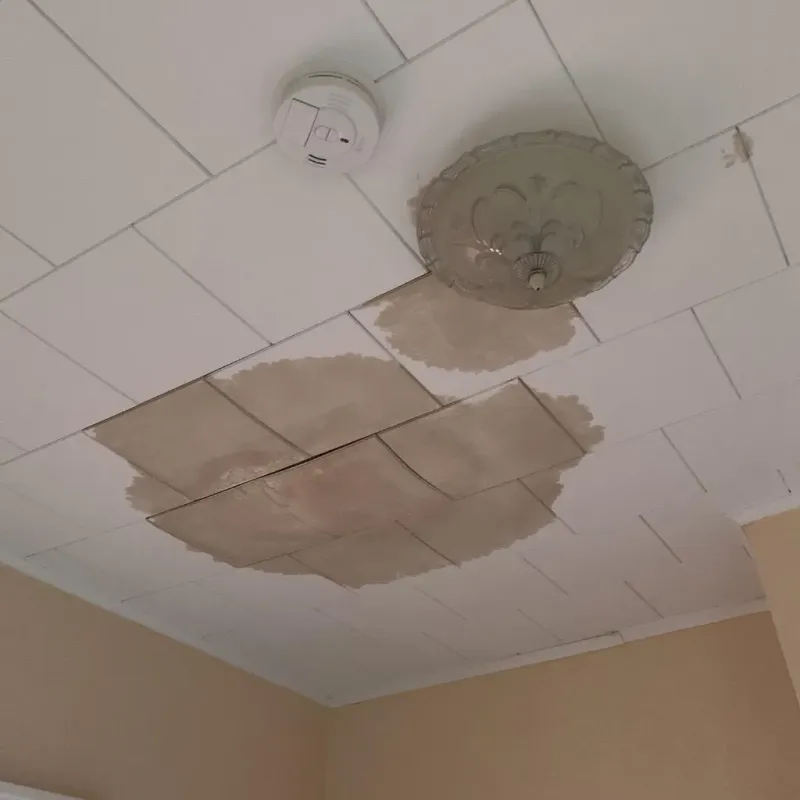 Ceiling Water Damage Repair in Bowling Green, MO